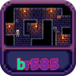 br585