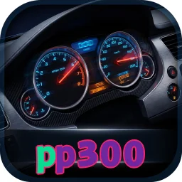 pp300